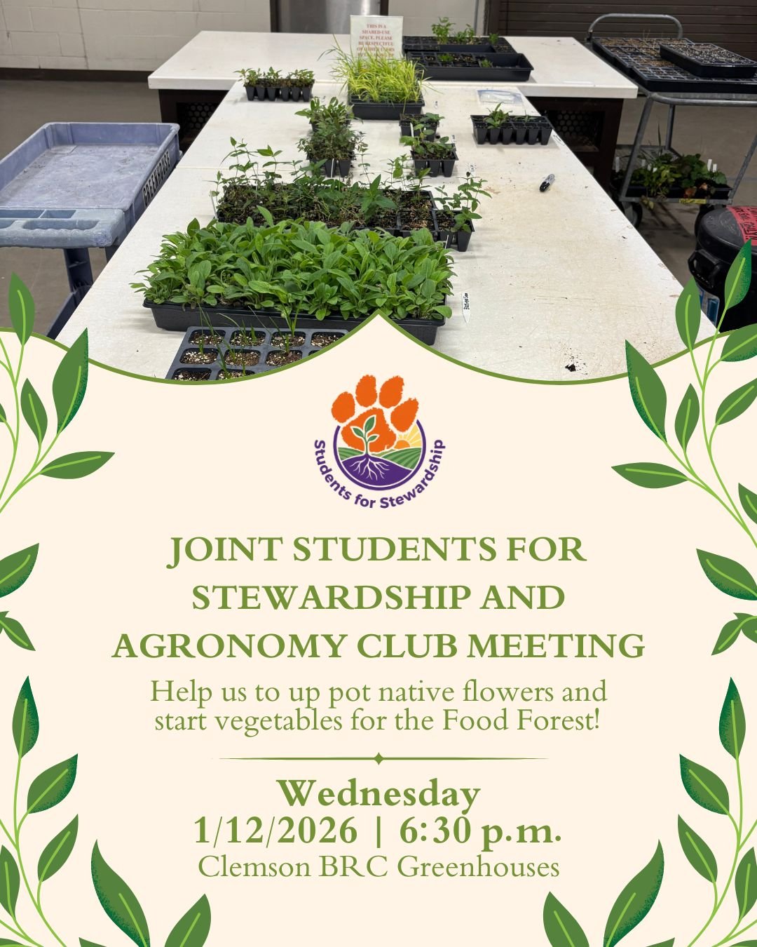 Students gathered around a table at a Students for Stewardship and Agronomy Club planning meeting