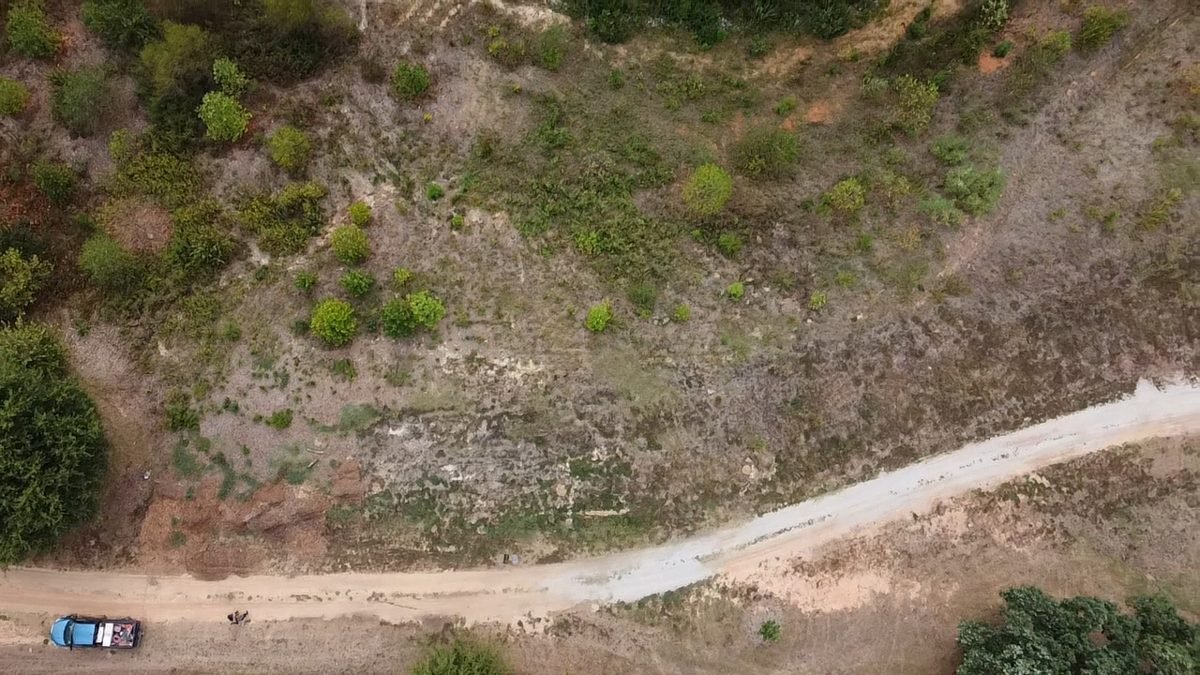 Aerial view of Hunnicutt Food Forest