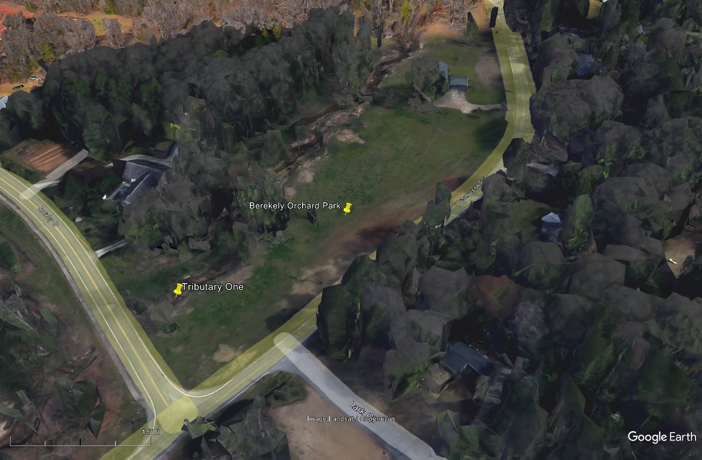 Field cross-section survey — Berkeley Orchard Tributary One