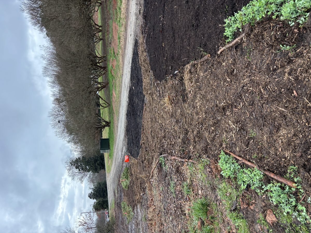 Club members at HFF site